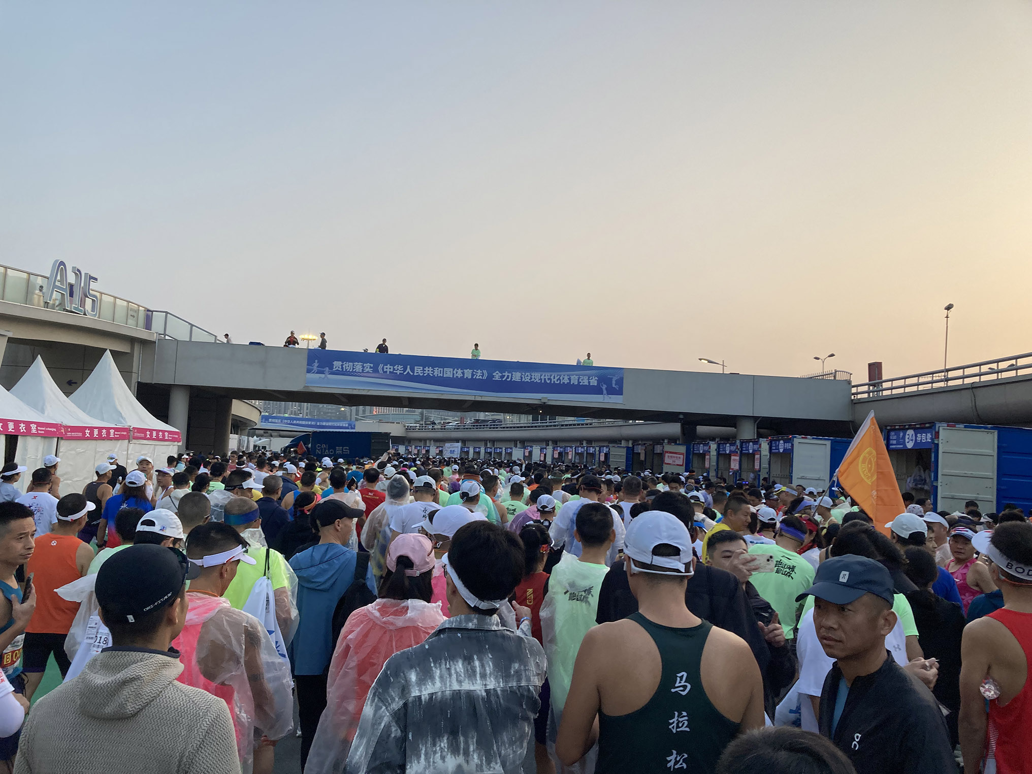 微信圖片_20241104162929.jpg